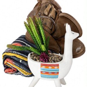 Llama Planter with Succulent